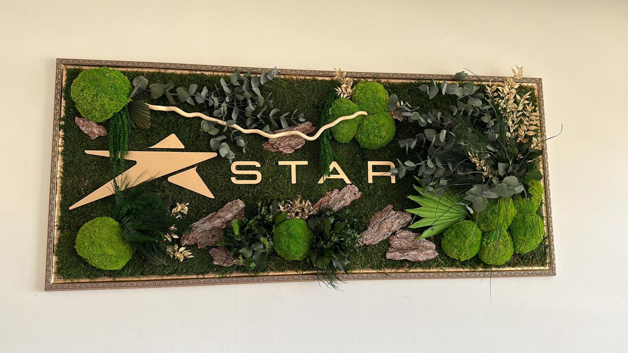 Star Hotel Tulcea Extérieur photo